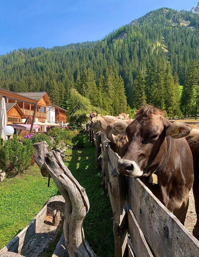 Alpin Natur Hotel Brueckele 布拉伊埃斯 外观 照片