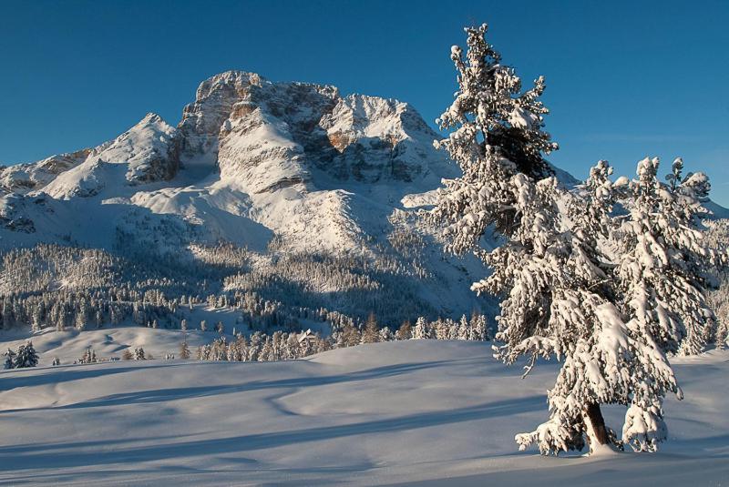 Alpin Natur Hotel Brueckele 布拉伊埃斯 外观 照片